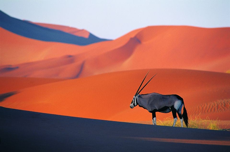 Planning a Tour of Namiba - Everything You Need To Know