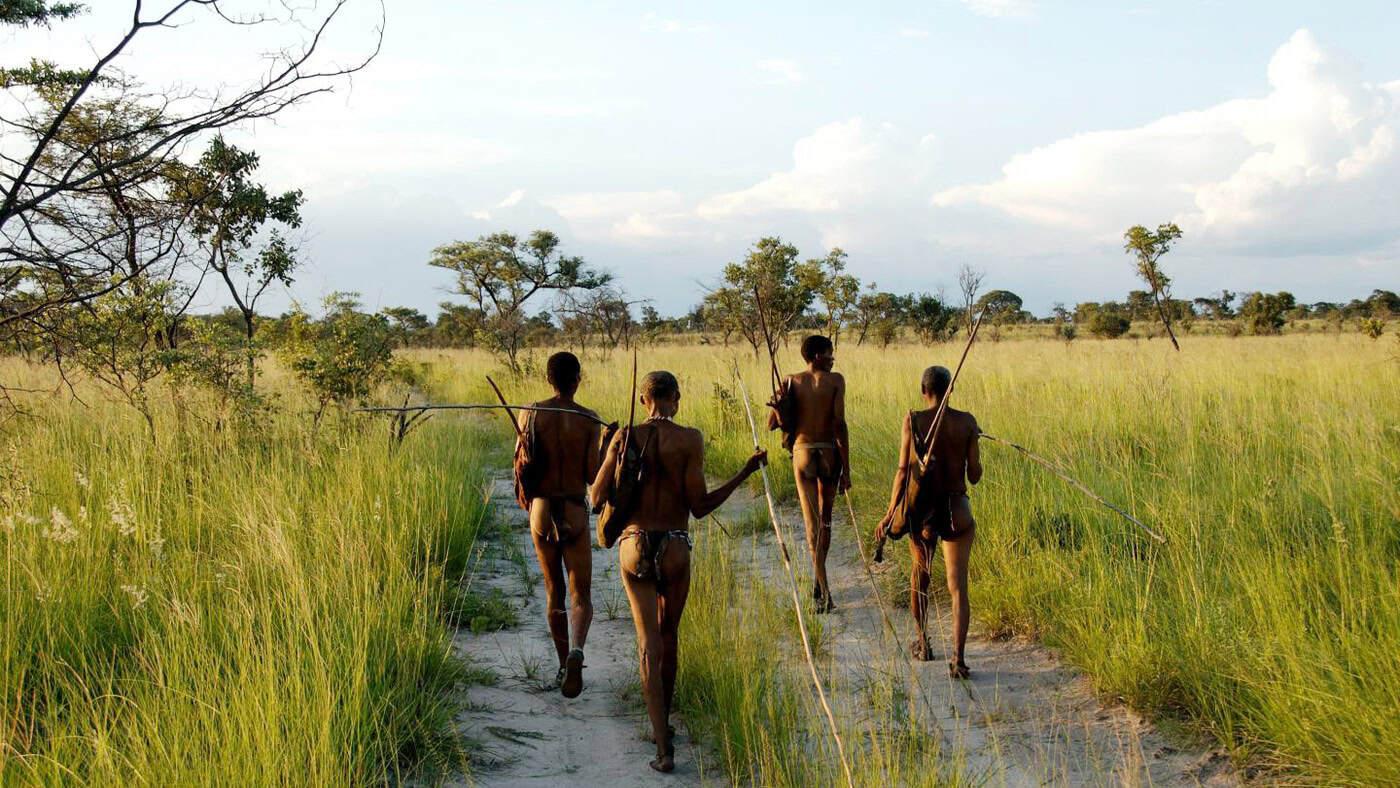 tour operators tour operators