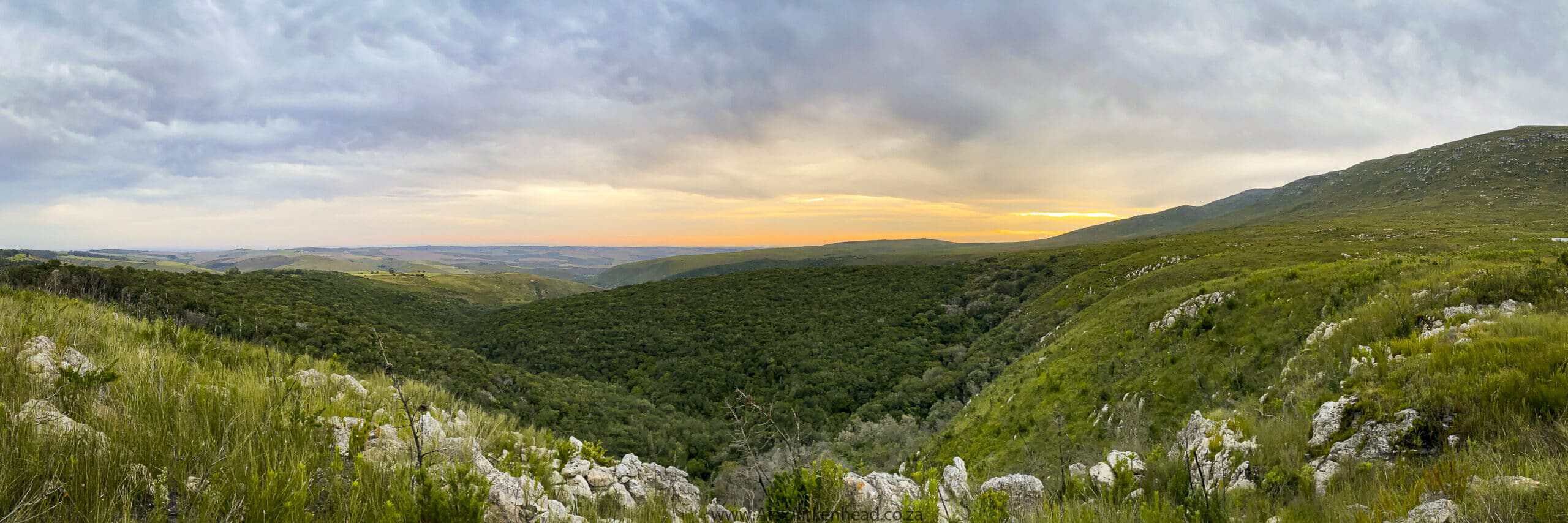 Garden Route Tours - MoAfrika Tours cape floral kingdom