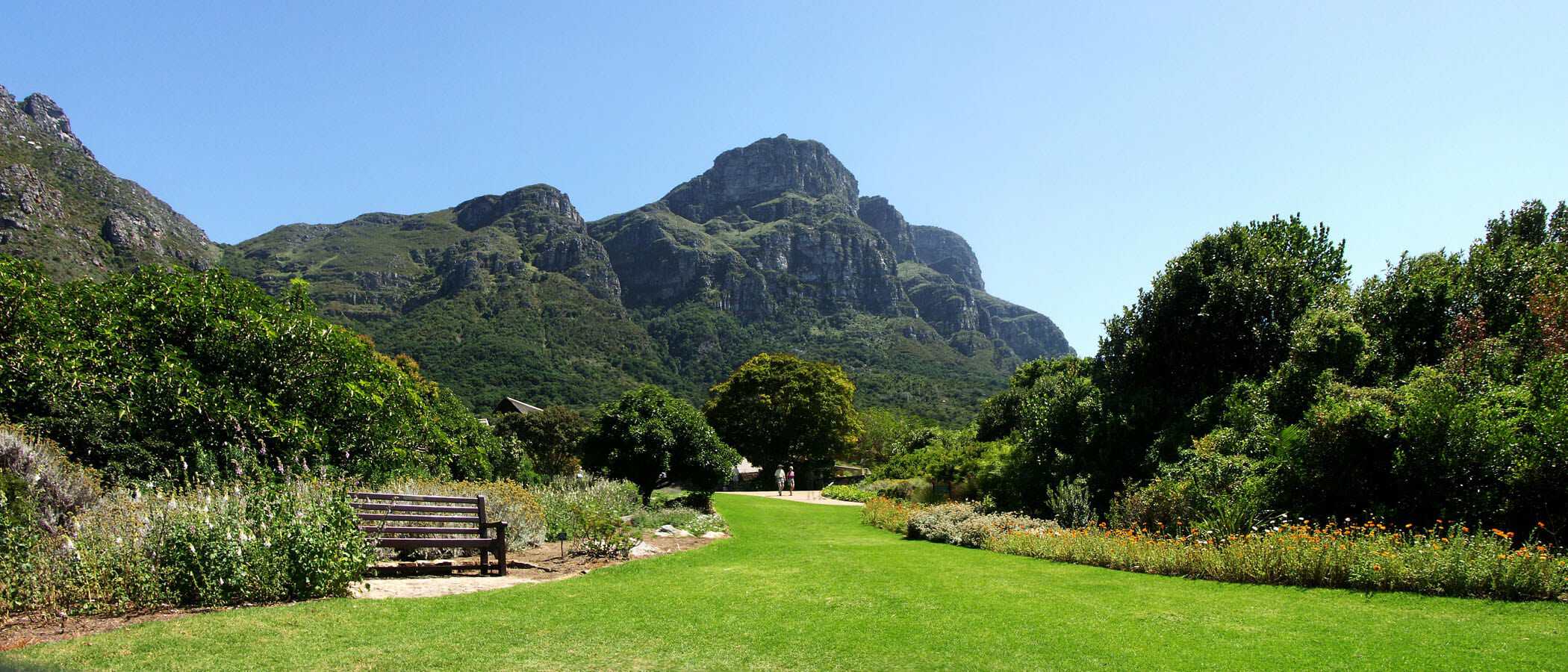 Cape Peninsula Tours - MoAfrika Tours Cape Peninsula Tours - MoAfrika Tours
