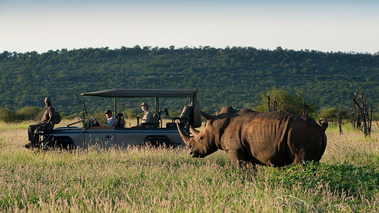 Victoria Falls Tours and Safaris - MoAfrika Tours Hwange National Park