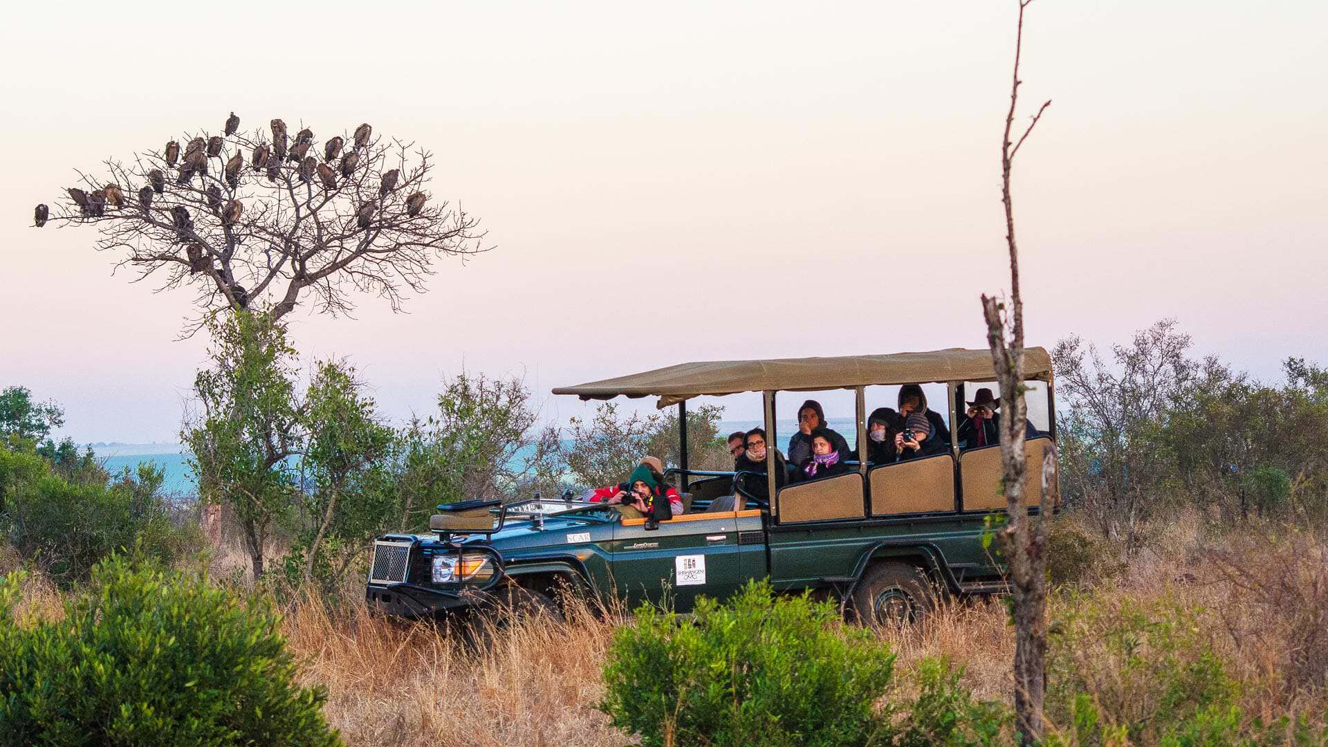 Victoria Falls Tours and Safaris - MoAfrika Tours Zambezi National Park safari excursion