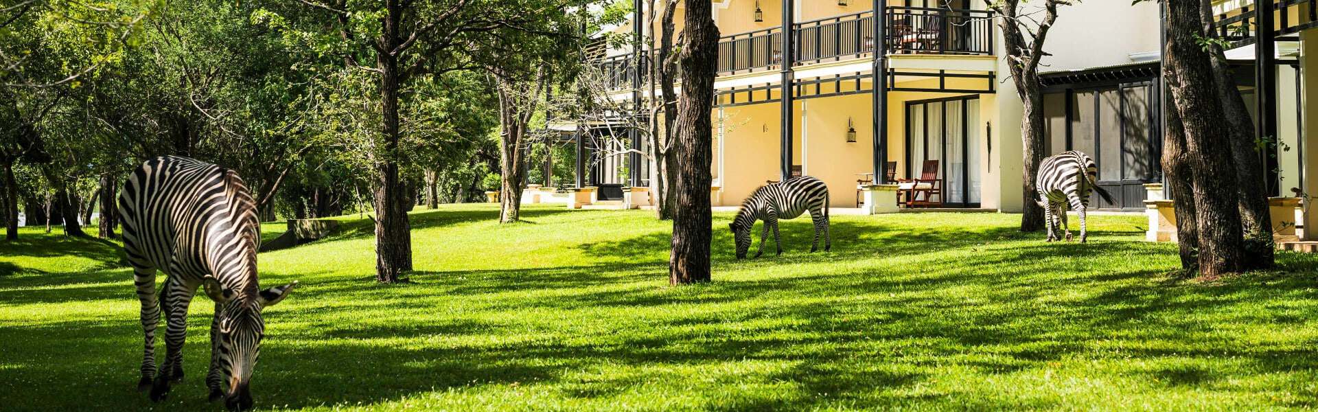 Victoria Falls Tours and Safaris - MoAfrika Tours The Royal Livingstone Hotel