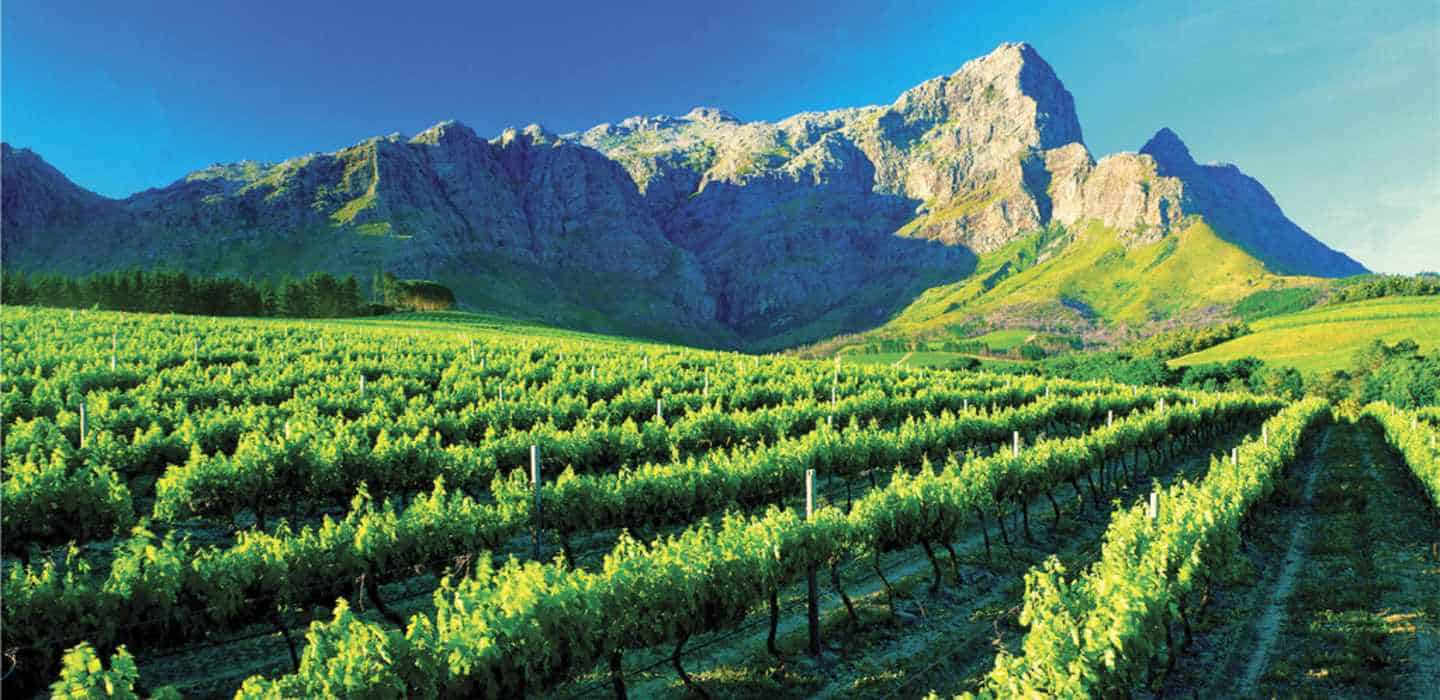 South Africa Tours - MoAfrika Tours winelands-full-day tour