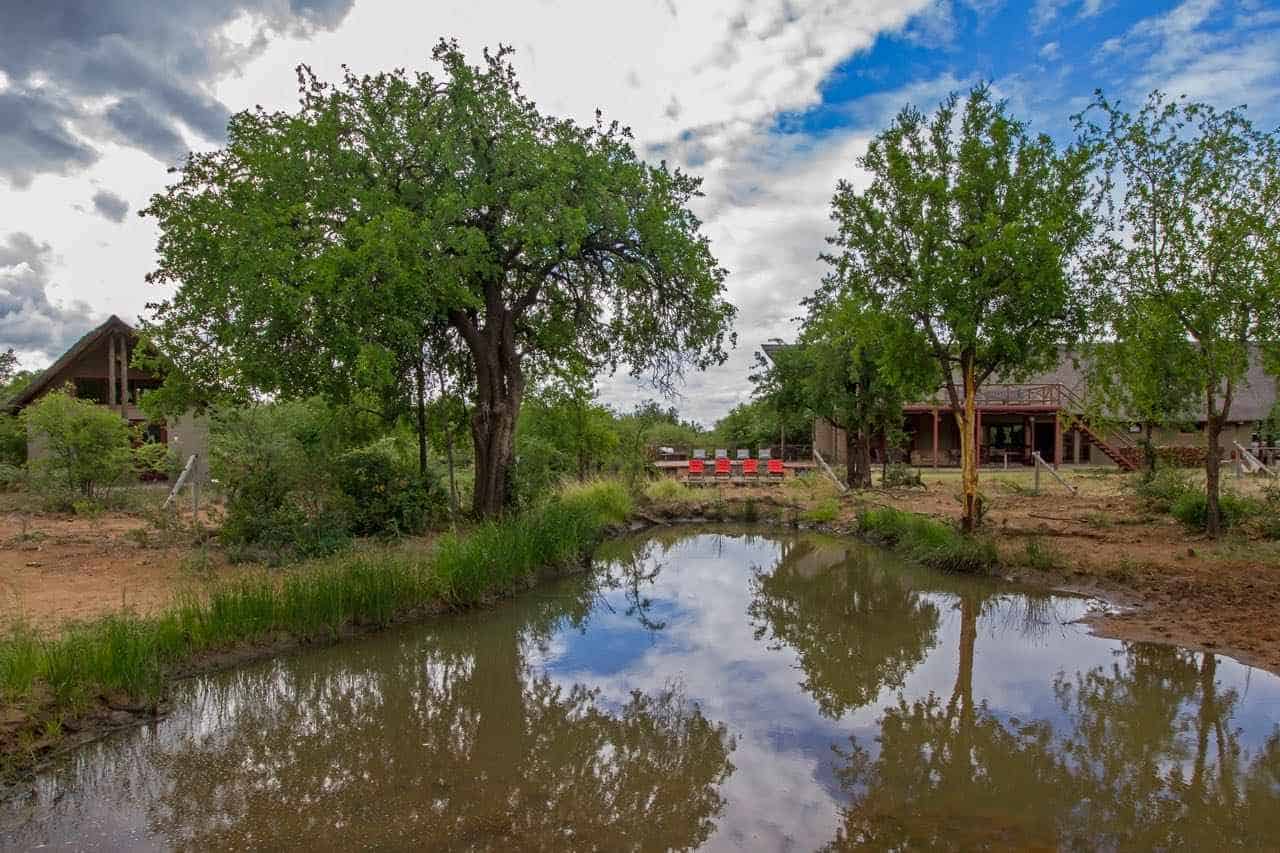 South Africa Tours - MoAfrika Tours pilanesberg private lodge
