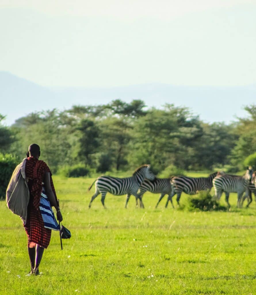 Botswana Safaris
