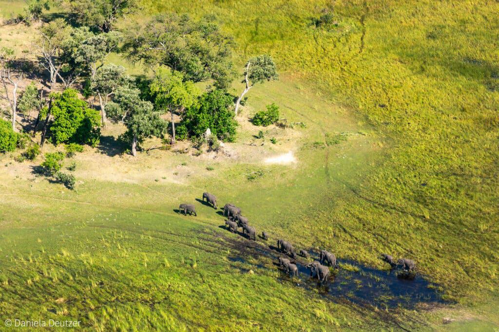 Fly in Safaris