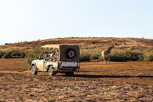 Kalahari