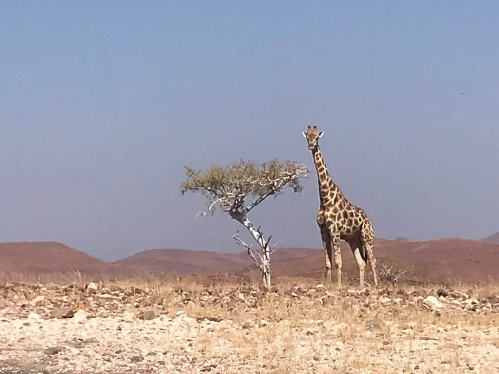 Namibia Budget holidays