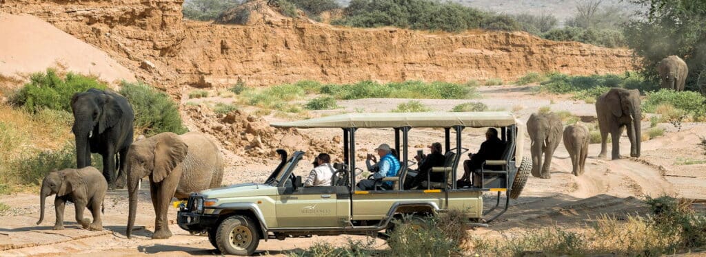 Namibia game drive