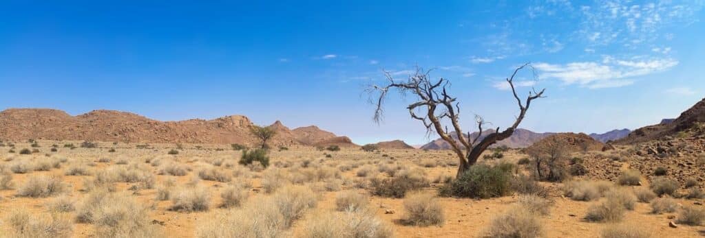 Namibia scenery