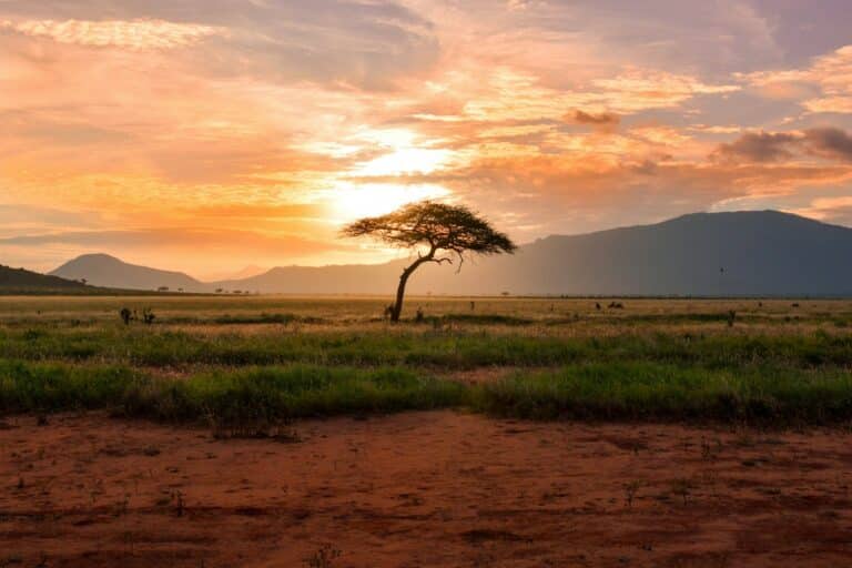Pilanesberg Private Transfers
