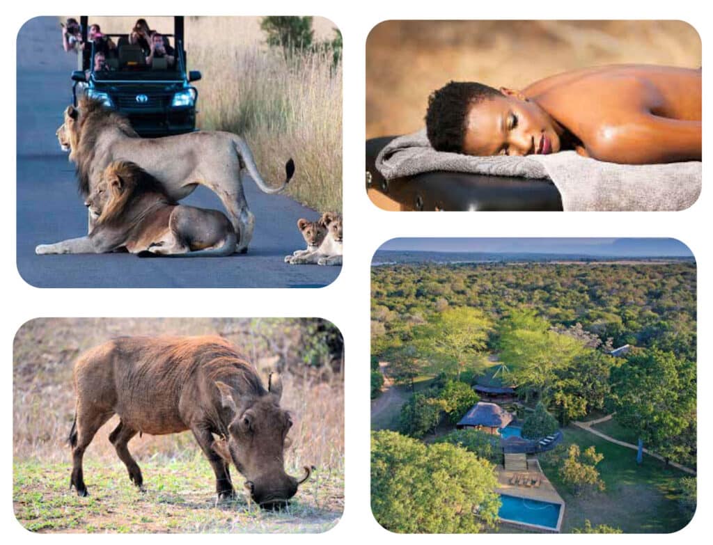 Wildlife and safari activities in Kruger National Park, South Africa.