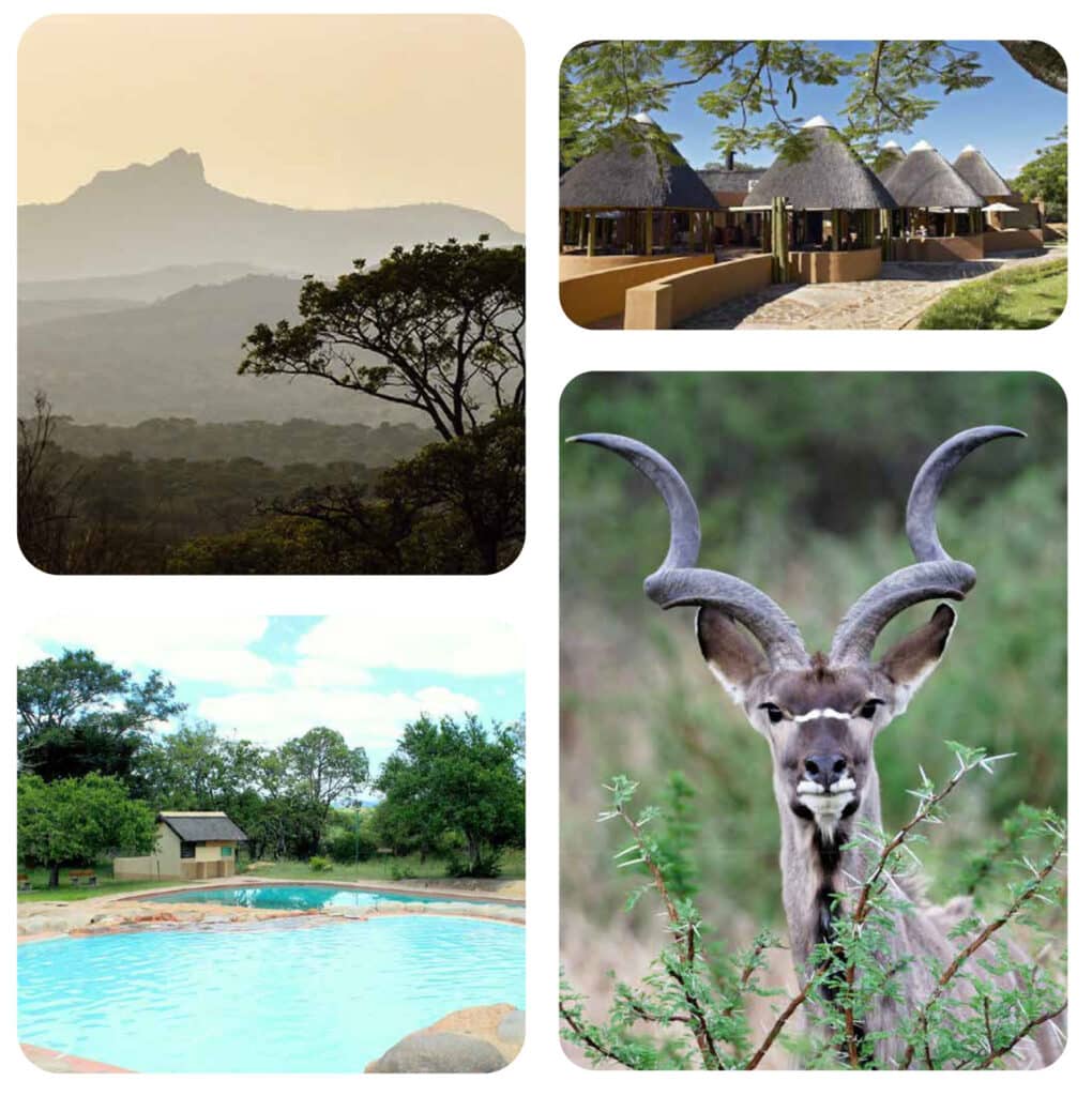 Wildlife and lodge scenes in Kruger National Park, South Africa.