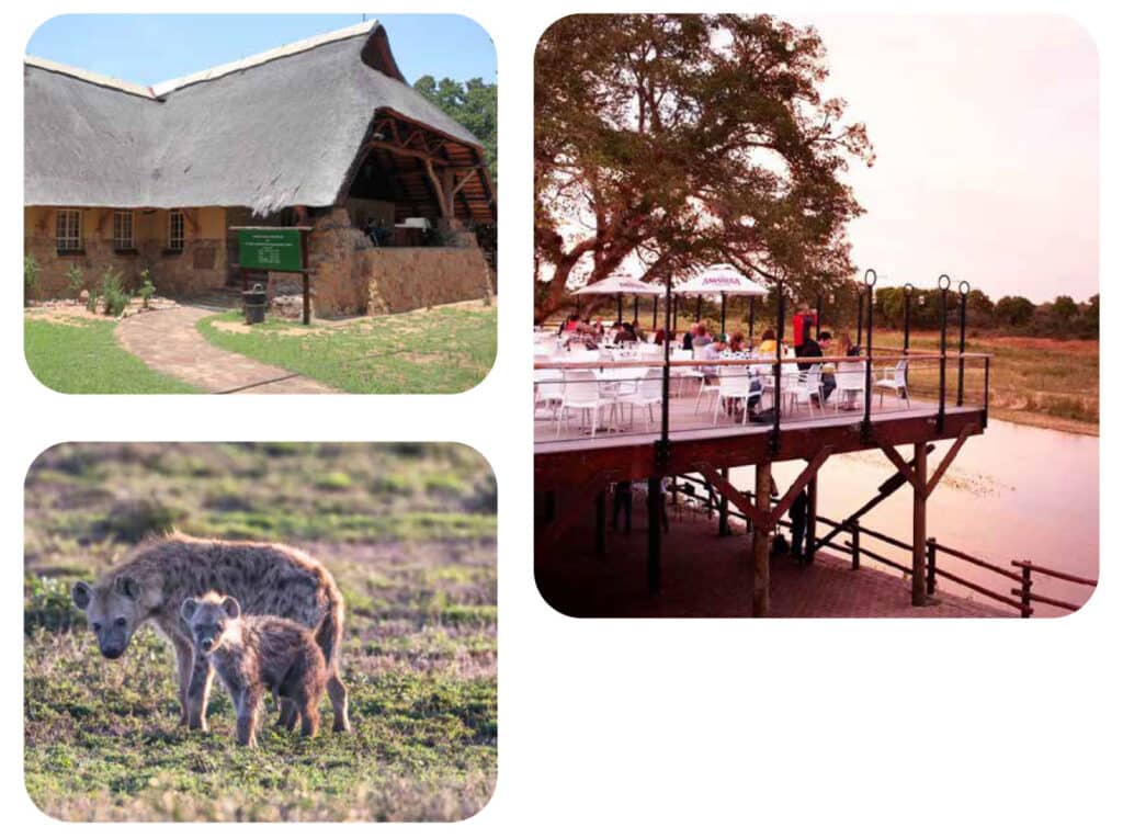 Safari dining and wildlife viewing at Kruger National Park.