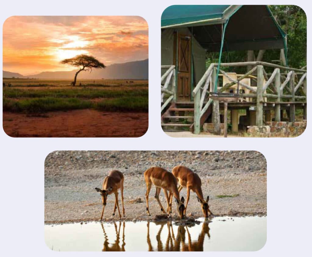 African wildlife and safari lodge in Kruger National Park.