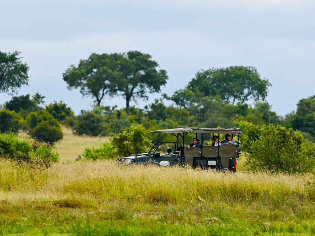 Timbavati Accommodation