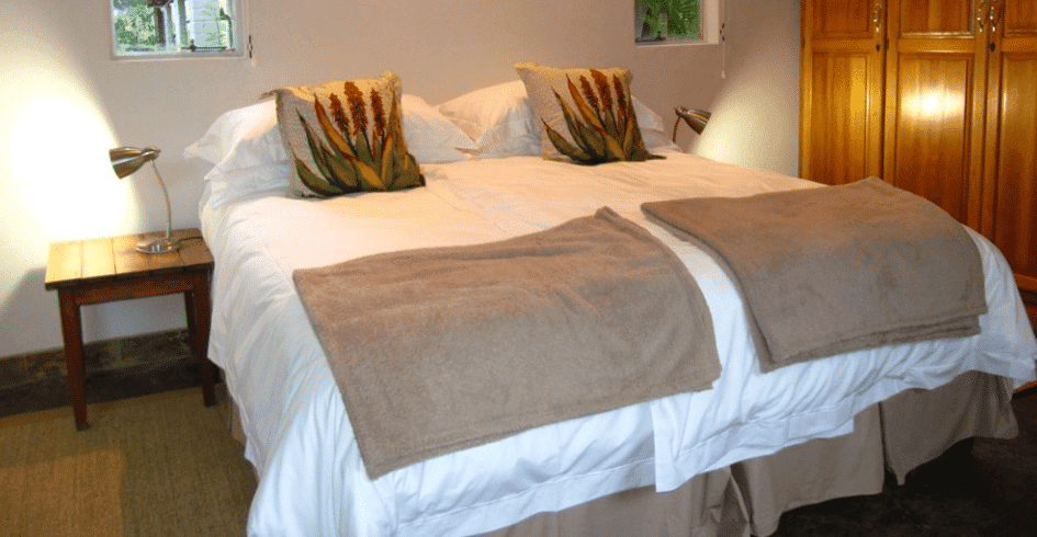 Sabi Sands Game Reserve - MoAfrika Tours DJUMA