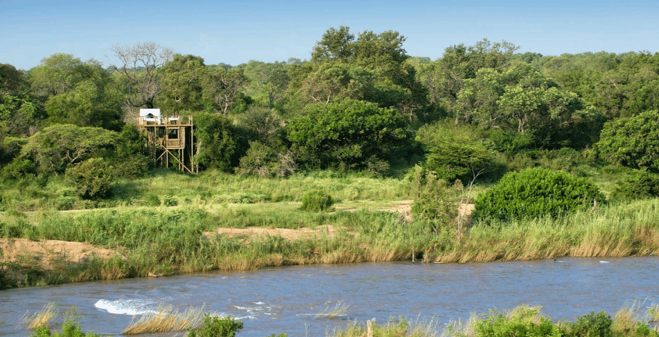 Sabi Sands Game Reserve - MoAfrika Tours Flora and Fauna