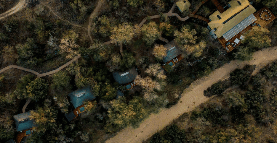 Sabi Sands Game Reserve - MoAfrika Tours Simbambili Game Lodge