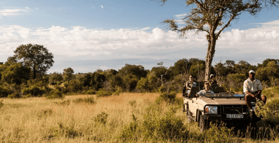 Fauna and Flora of Manyeleti Private Game Reserve