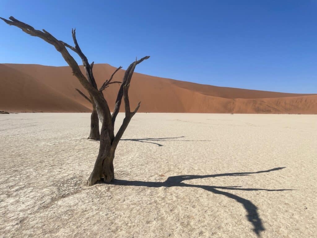Namibia The Ultimate Guide