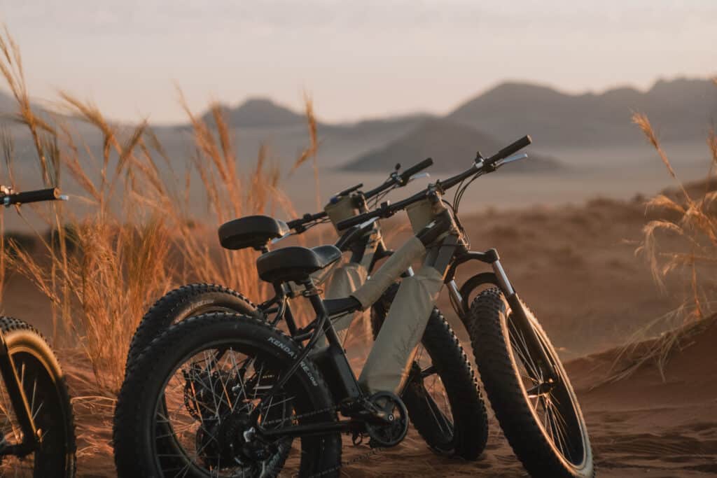 Namibia The Ultimate Guide