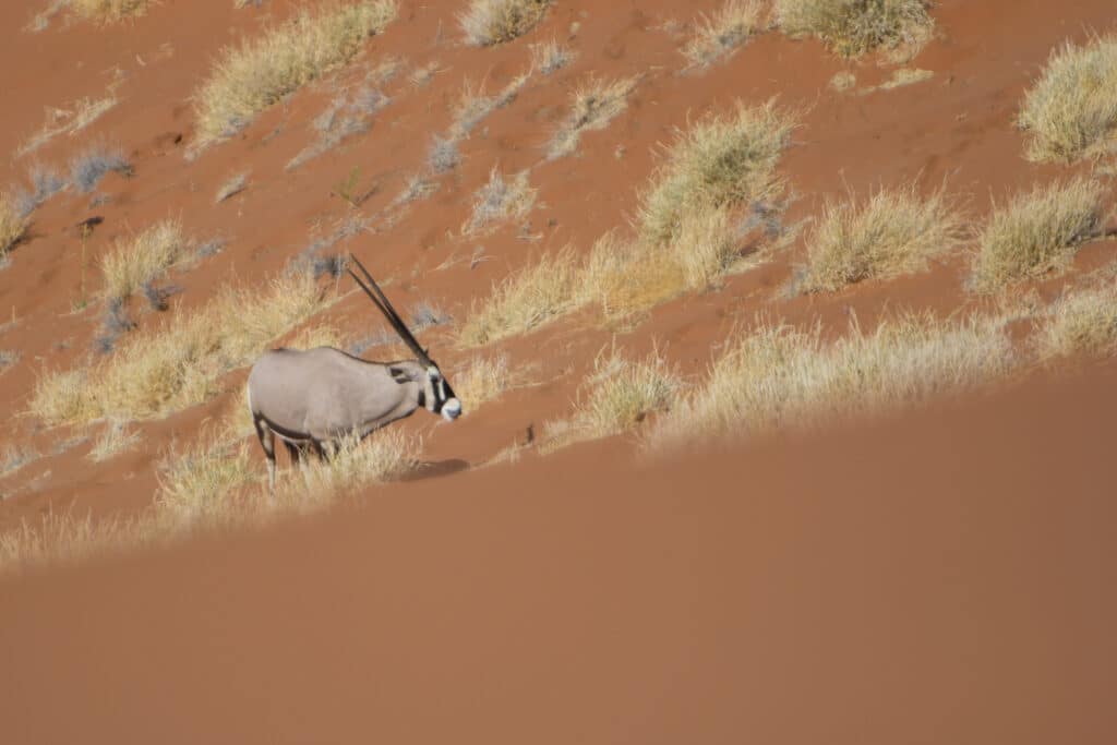 Namibia The Ultimate Guide