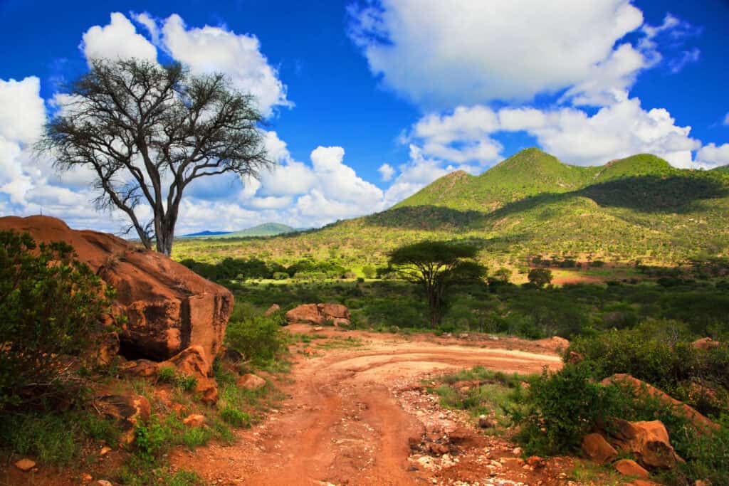 Uganda The Ultimate Guide