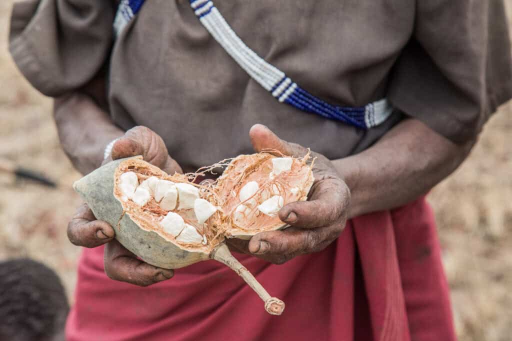 Ultimate Guide Tanzania