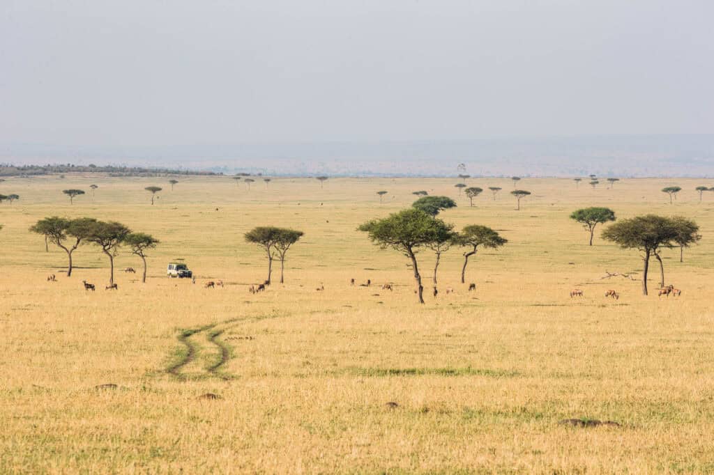 Ultimate Guide Tanzania