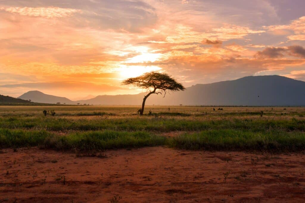 MoAfrika Tours DMC