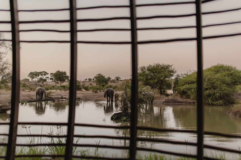View of elephants at waterhole seen through safari lodge window.