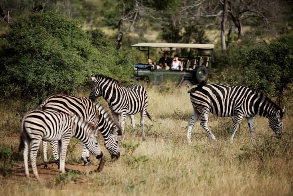 Kruger-game-Drive-Safari-Vehicle
