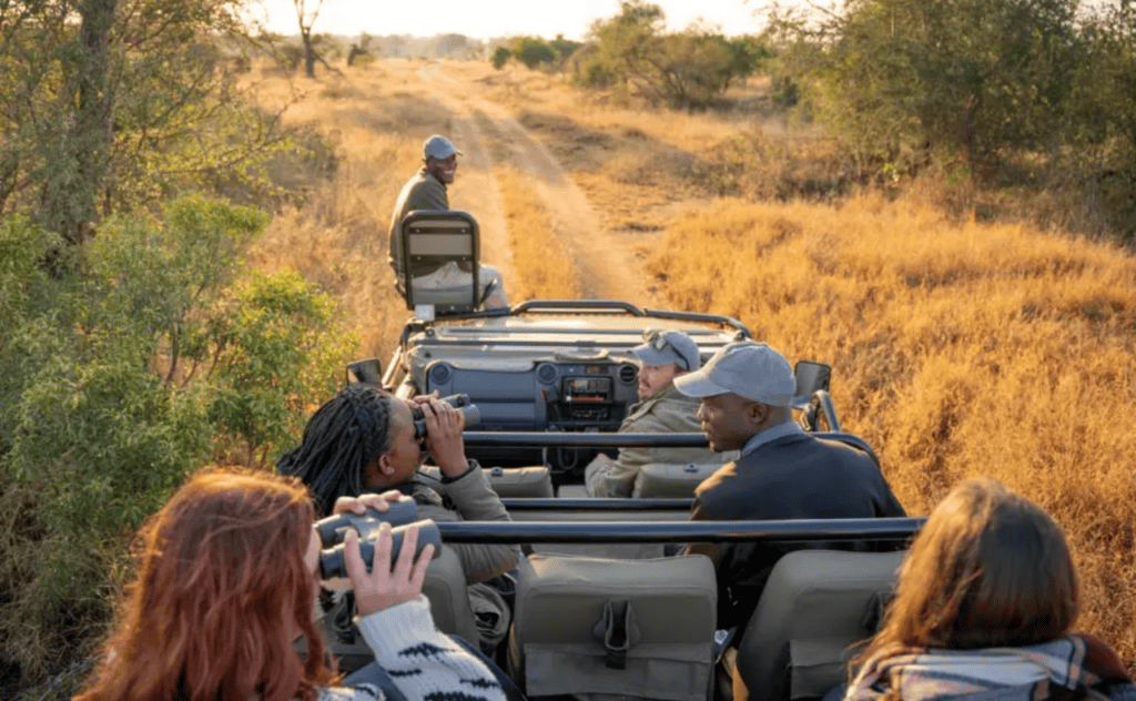 Tourists on safari vehicle exploring African savannah wildlife.