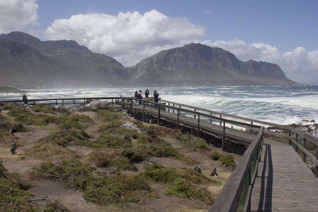 People walking along a coastal boardwalk with mountains and ocean in the background.
