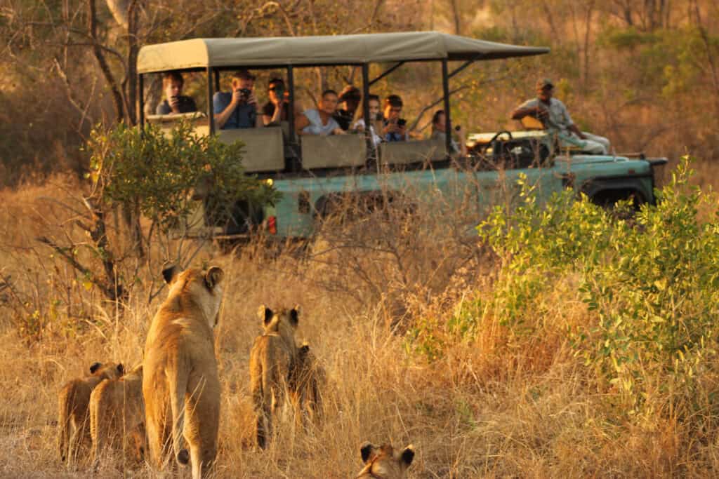 Best Gates to enter the Kruger National Park