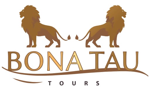 Bona Tau Tours logo featuring two lions facing each other with a stylized text.
