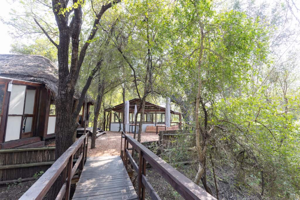 Wooden pathway leading to tents in lush green forest at Ndzhaka Tented Camp.