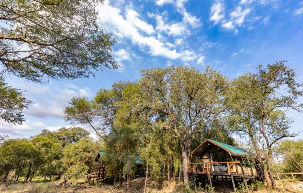 Tented camp surrounded by trees under a blue sky with clouds.